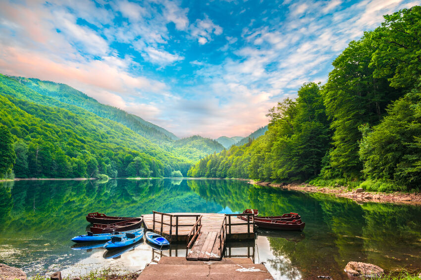 Biogradska gora u Crnoj Gori