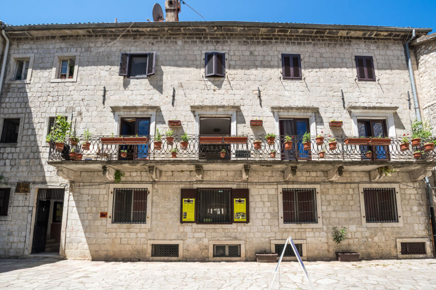 Cats Museum in Kotor